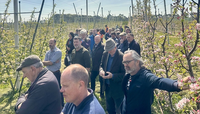 Crowds visiting the experimental orchard