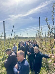 Experimental Orchard at Teagasc, Oak Park, Carlow