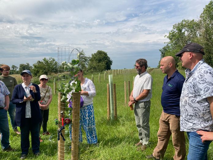 Fergal Keaveney hosting an Irish Agroforestry Forum