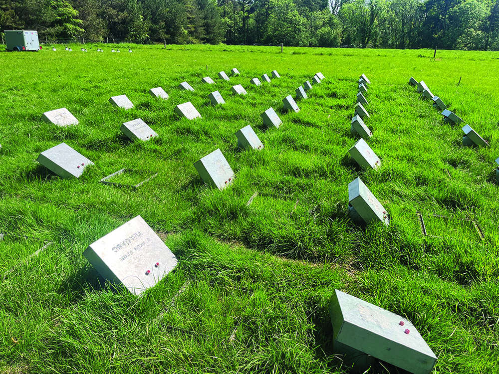 Chambers for measuring emissions in the field