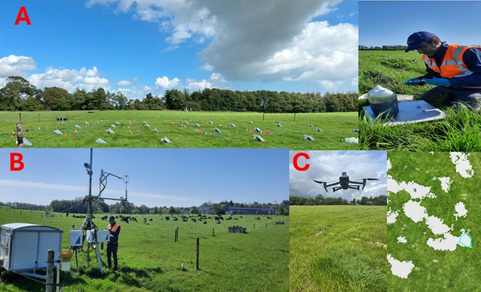 Figure 1 is a photo which shows static chambers used to measure soil nitrous oxide (N2O) fluxes (A); eddy covariance systems measuring ecosystem-scale carbon dioxide (CO₂) exchange between the grassland ecosystem and the atmosphere (B); and UAV-based mapping used to detect and quantify urine patch distribution under grazing conditions (C).