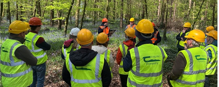 Cover image for Teagasc Forestry Advisory Newsletter – May article