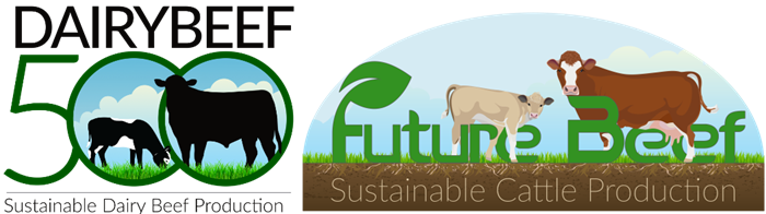DairyBeef 500 and FutureBeef logos