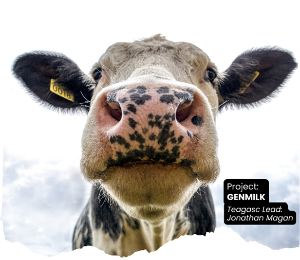 Text: 'Project GenMilk, Led by Jonathan Magan, Teagasc, overlaid on an image of a dairy cow