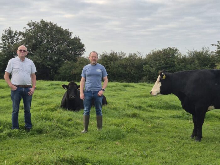 Succession success in Roscommon