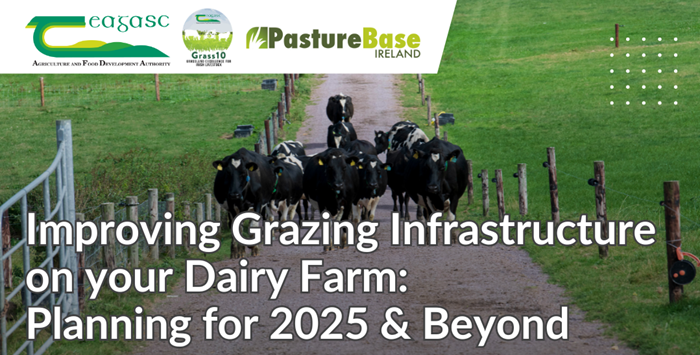 Grazing infrastructure – a wise investment