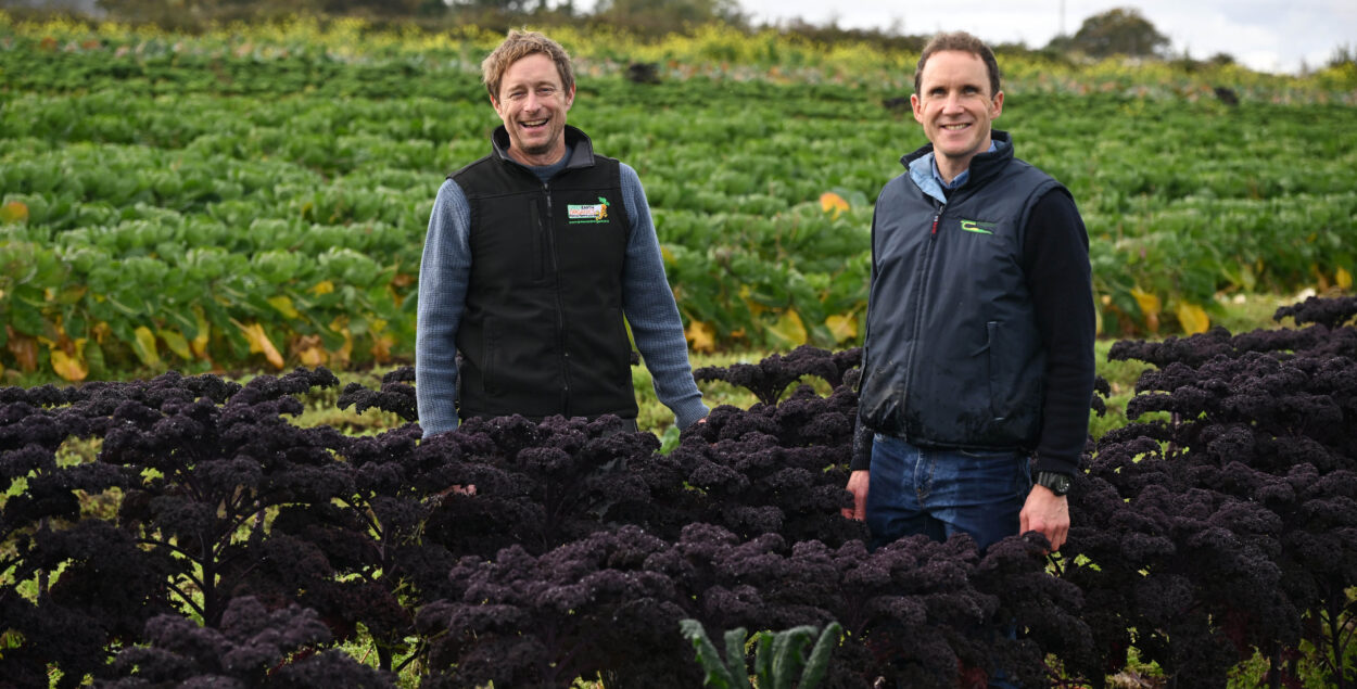 Kenneth Keavey from Green Earth Organics, Caherlea, Corrandulla, Galway is pictured in a vegetable crop with William Deasy, Teagasc Specialised Vegetable Advisor