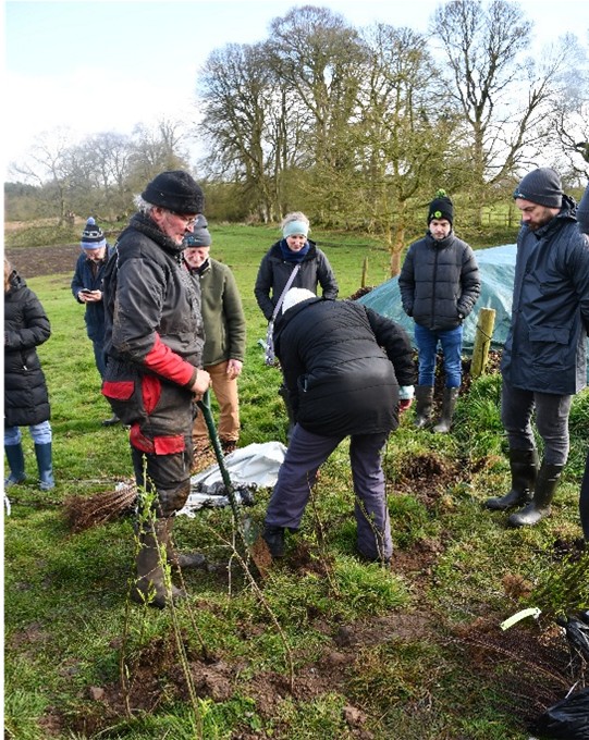 Farmers participating in the hedge planting demonstration at the FarmBioNet/Safer project workshop