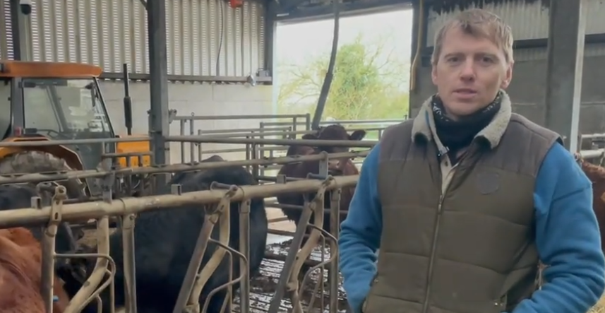 Watch: Getting the basics right at calving with James Skehan