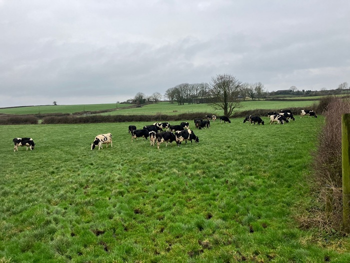 Cover image for Plans made in Sligo article