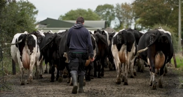 Working together: The Murphys’ story