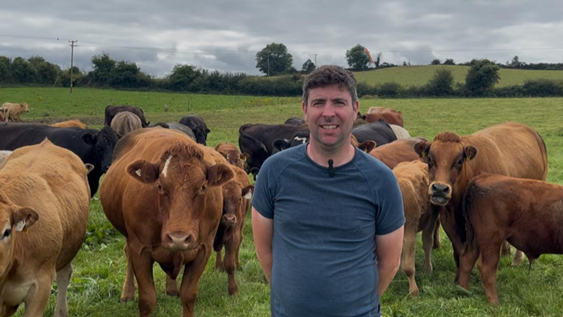 Weanling breeding: Balancing shape and quality