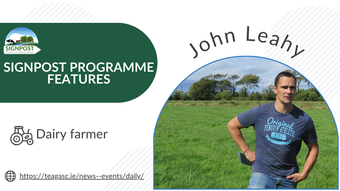 Lime plan delivers an extra 80t of grass on a Limerick dairy farm