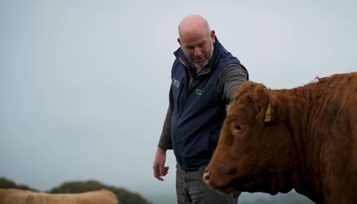 Top-performing suckler farmer to host Future Beef walk
