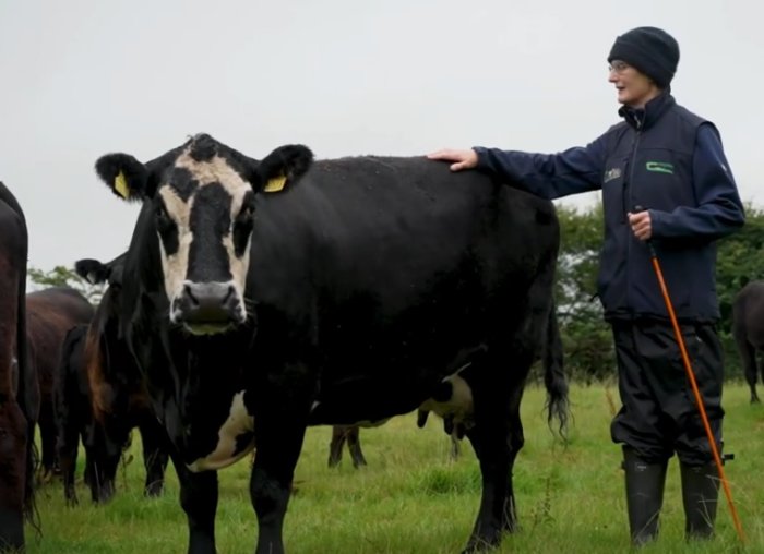 Achieving the perfect balance