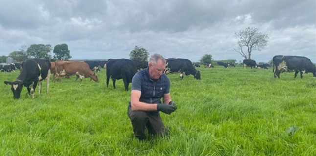 Keeping grass quality in check on the Teagasc / Lakeland Dairies demo farms