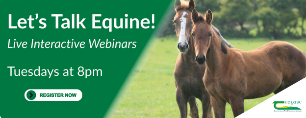 Cover image representing Let's Talk Equine Webinar Series