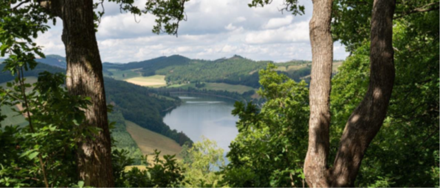 European webinar on forest restoration takes place this week