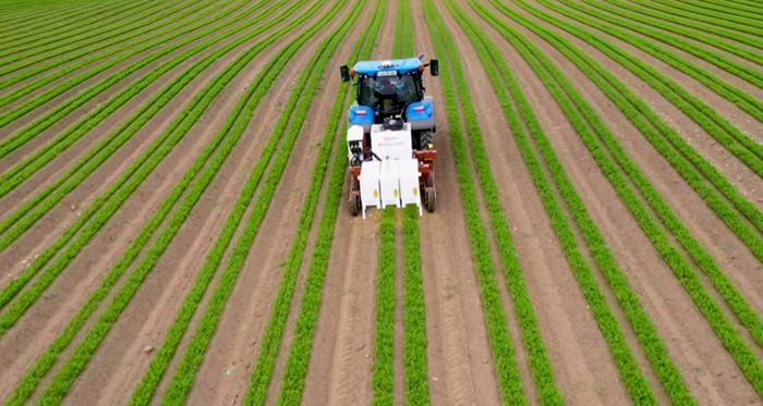 Watch: AI-powered laser weeding in organic vegetables: A first-of-its-kind in Ireland