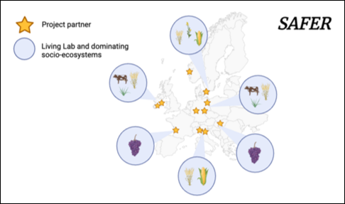 Map of Europe showing locations of SAFER partners and Living Lab sites representing different ecosystems including vineyards, crops and livestock