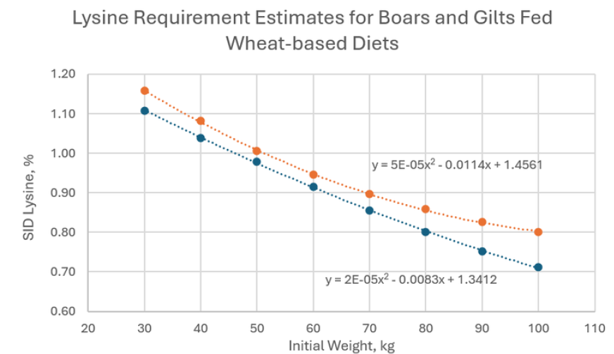 Line graph compares lysine requirement estimates for boars and gilts fed wheat-based diets, plotting SID lysine percentage against initial weight in kilograms. Orange and blue dotted series decline from about 1.16% and 1.11% at 30 kg to 0.80% and 0.71% at 100 kg,