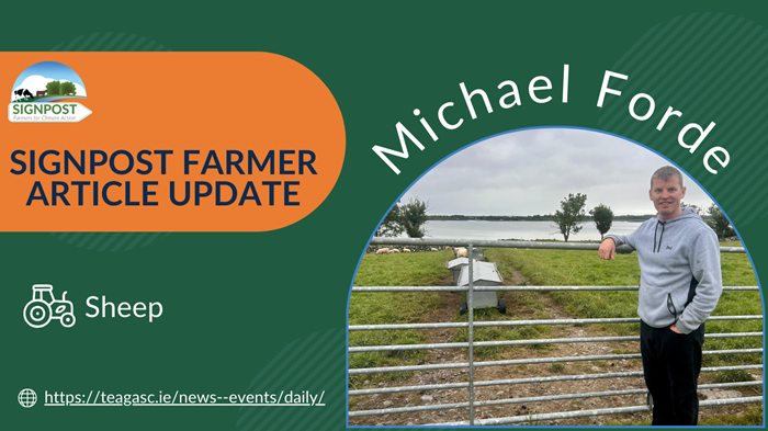 Signpost update: Balancing sheep farming with off-farm work commitments