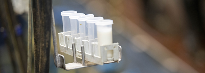 Milk sample bottles in a parlour