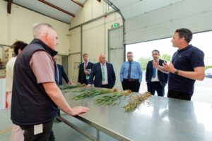 Group picture observing disease pressures affecting crops this season, highlighting challenges currently facing farmers.