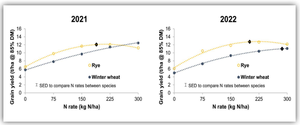 A graph showing the N use efficiency of rye in comparison to winter wheat