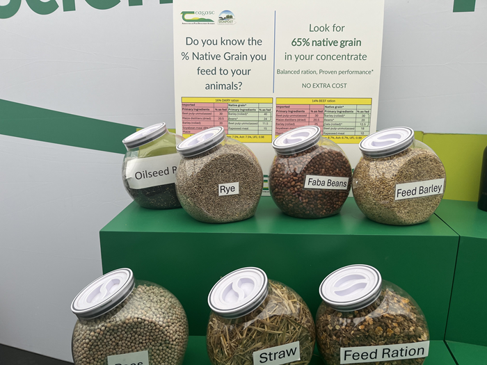 Value of native grains showcased