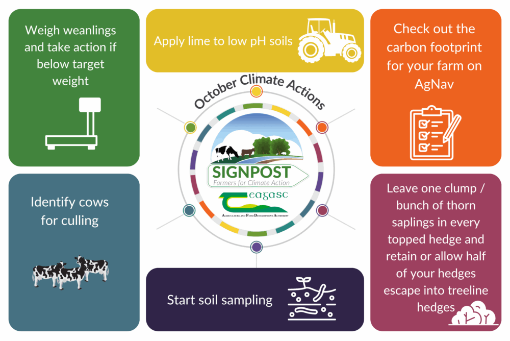 October Climate Actions 2025