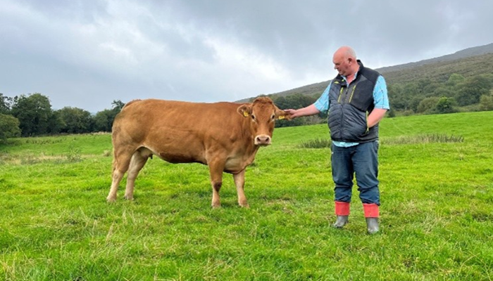 Watch: Gearing up for show and sale season with Oliver O’Hara