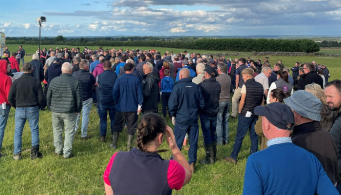 Olivia Hynes showcases profitable beef and sheep system at farm walk