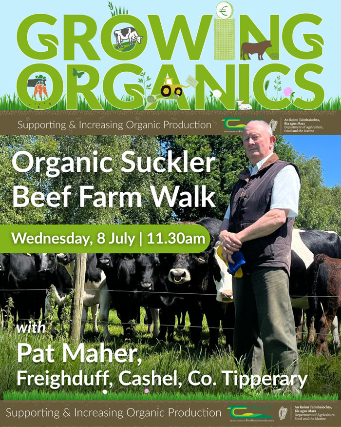 A graphic featuring an image of Pat Maher in front of cattle and details of the farm walk talking place at Freighduff, Cashel, Co. Tipperary, on Wednesday, July 8 at 11:30,