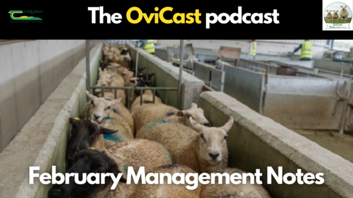 Cover image for Management priorities for February article