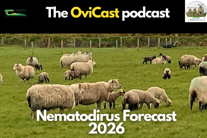 Cover image for Nematodirus Forecast 2026 article