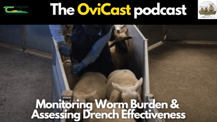 OviCast: Monitoring worm burden and assessing drench effectiveness
