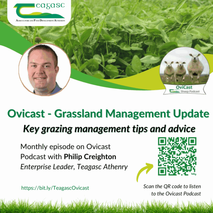 September grass update with Dr. Philip Creighton