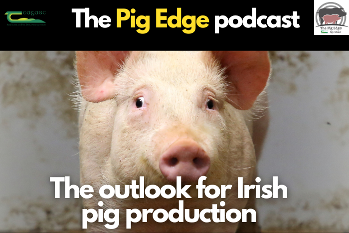 The outlook for Irish pig production in 2026