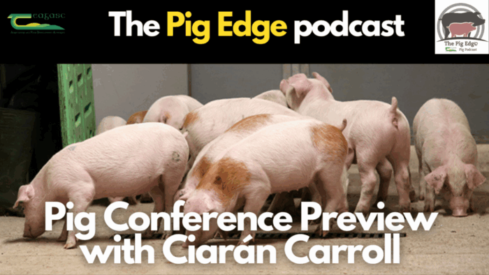 Pig Conference Preview with Ciarán Carroll