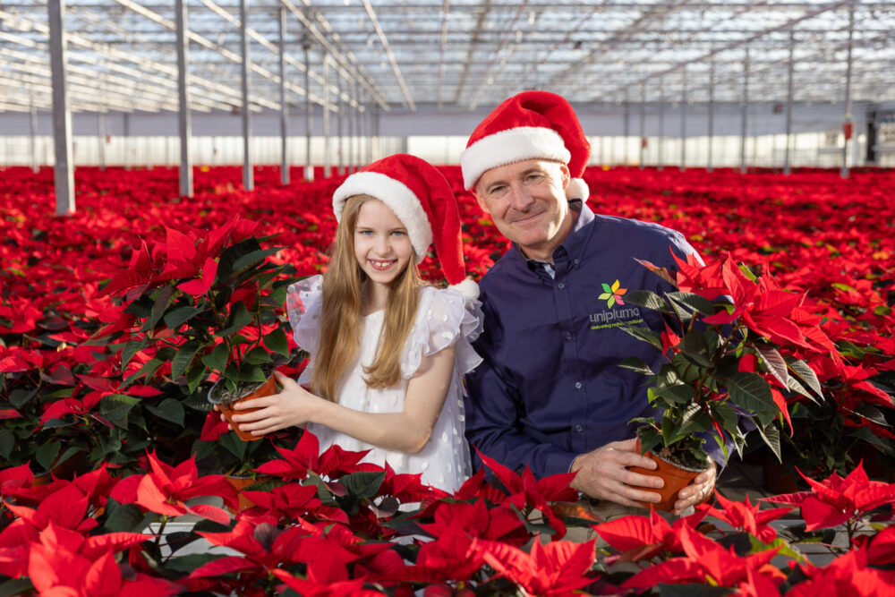 Pictured at the Uniplumo poinsettias glasshouses in Oldtown, Co. Dublin is Isobel Geraghty, and grower Paddy O’Dwyer