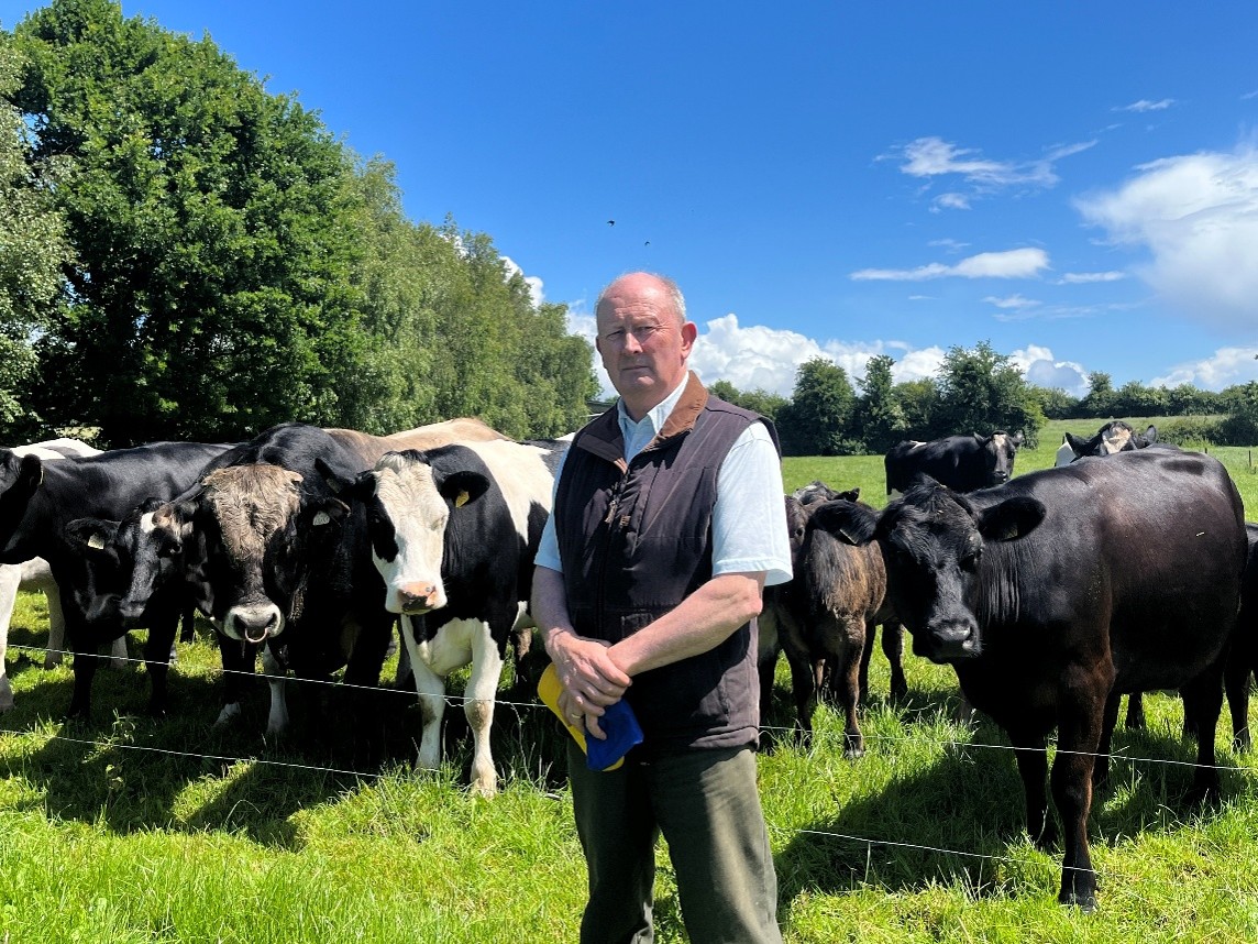 Transitioning from conventional dairy to organic beef in Co. Tipperary