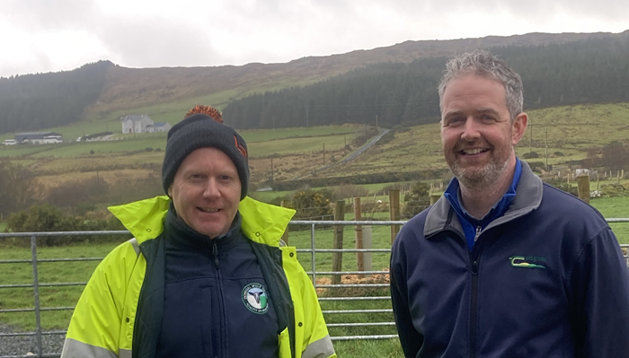 Cover image for Counting down to lambing with BETTER Sheep Farmer, Patrick Doherty article