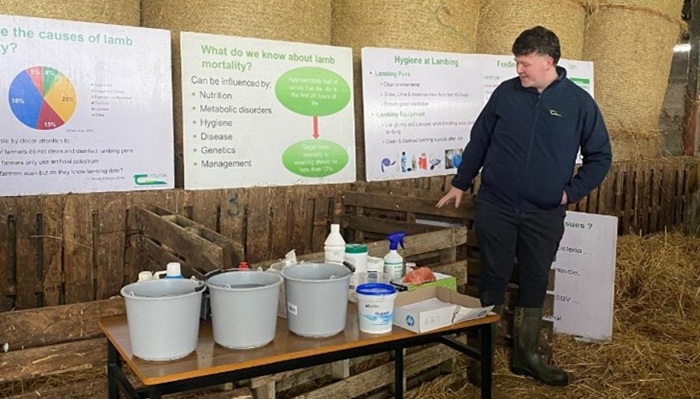 Patrick Farrell pictured on the right demonstrating best practises around hygiene at lambing