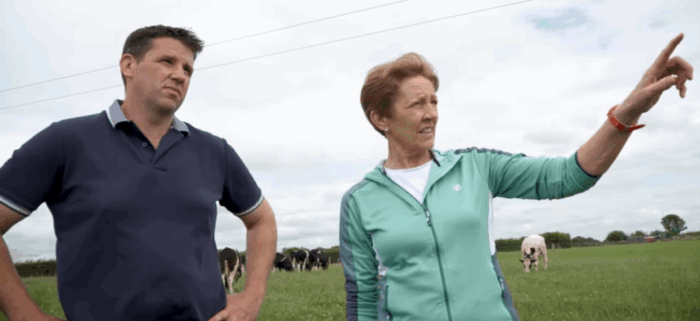 Profit, production and performance – the Dollards’ dairy beef system