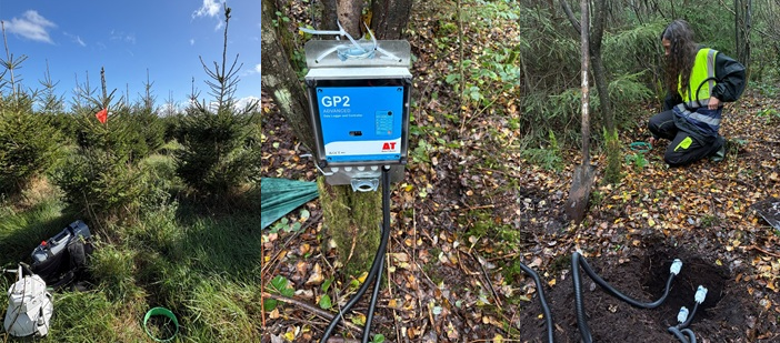 New insights into greenhouse gases from forested peatlands
