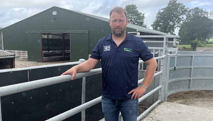 A labour efficient and profitable dairy beef system in action