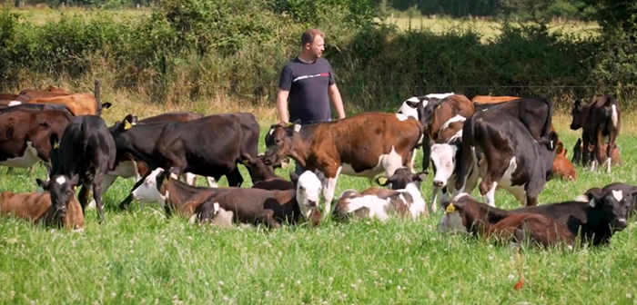 Enhancing biodiversity and productivity on an intensive farm