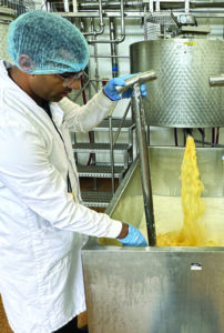 Factory worker making cheese.