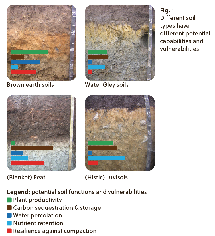 Infographic combining four soil-profile photographs -Brown earth soils, Water Gley soils, (Blanket) Peat and (Histic) Luvisols - to compare potential soil functions and vulnerabilities. Five colour-coded horizontal bars represent plant productivity, carbon sequestration and storage, water percolation, nutrient retention and resilience against compaction, alongside contrasting soil textures, colours and drainage conditions